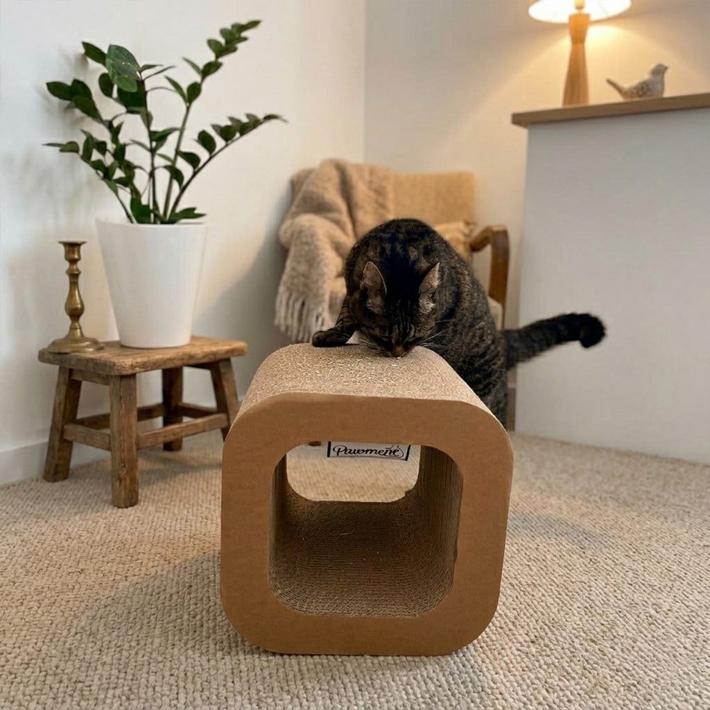 NORA TUBE